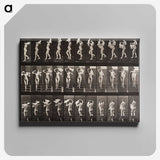 1-45_Eadweard-Muybridge_canvas