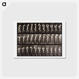 アートポストカード-Woman Locomotion Plate 133
 - エドワード マイブリッジ Postcard.