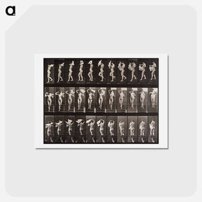 アートポストカード-Woman Locomotion Plate 133
 - エドワード マイブリッジ Postcard.