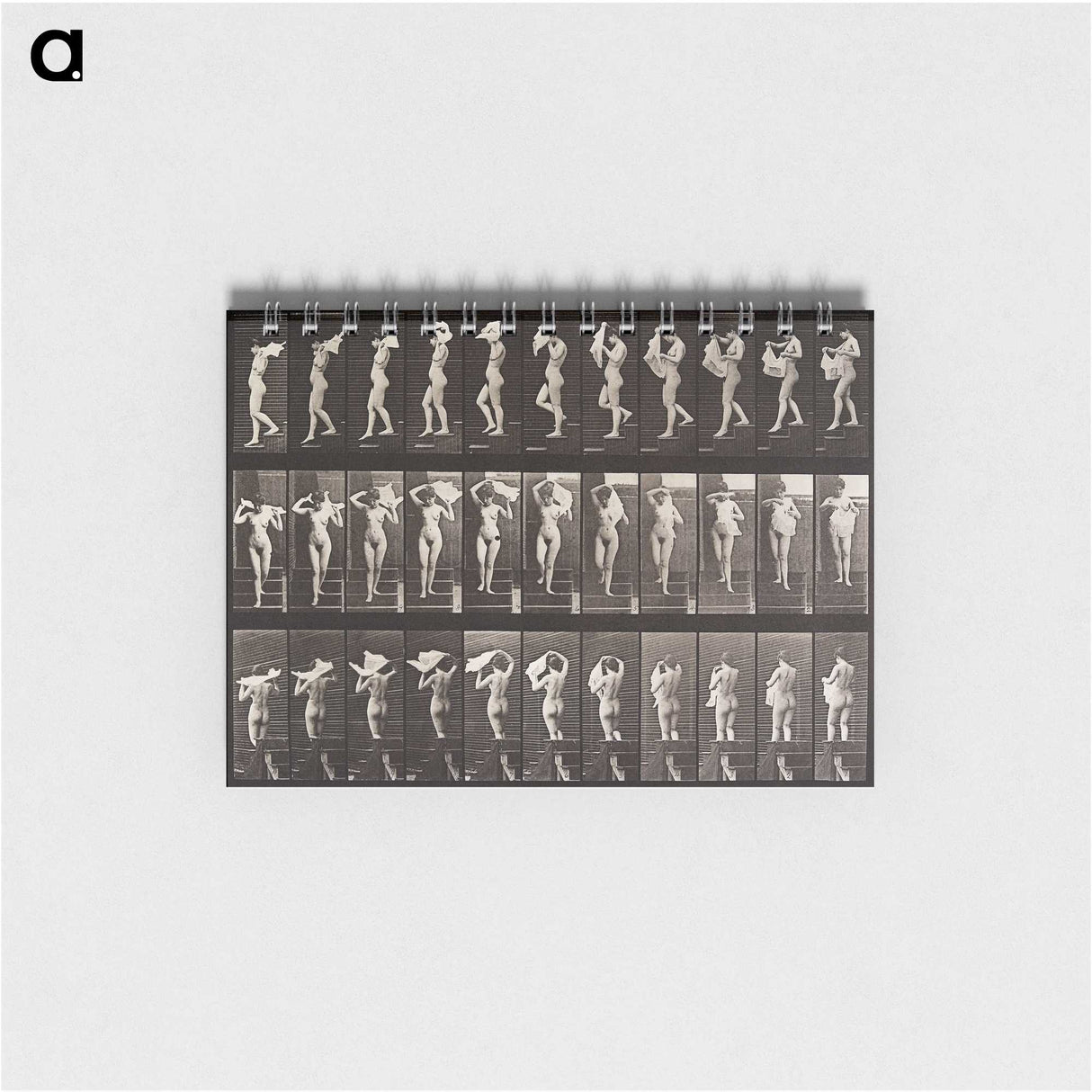 1-45_Eadweard-Muybridge_memo