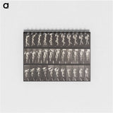 1-45_Eadweard-Muybridge_memo
