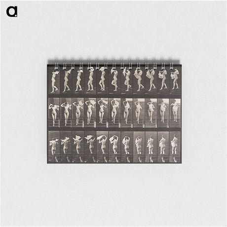 1-45_Eadweard-Muybridge_memo