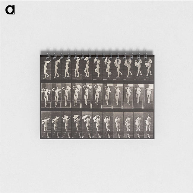1-45_Eadweard-Muybridge_memo