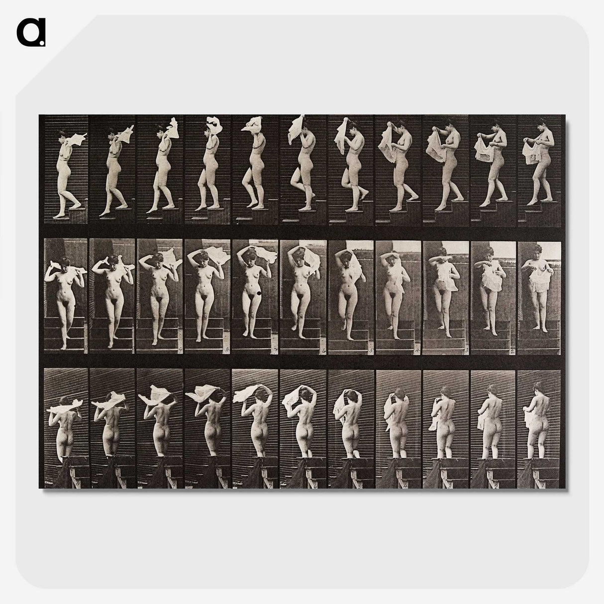 1-45_Eadweard-Muybridge_picture-crop