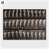 1-45_Eadweard-Muybridge_picture-crop