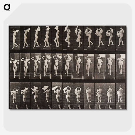 1-45_Eadweard-Muybridge_picture-crop