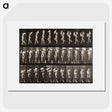 1-45_Eadweard-Muybridge_picture