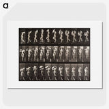 1-45_Eadweard-Muybridge_picture
