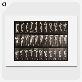 1-45_Eadweard-Muybridge_picture