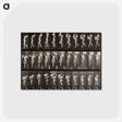 1-45_Eadweard-Muybridge_postcard
