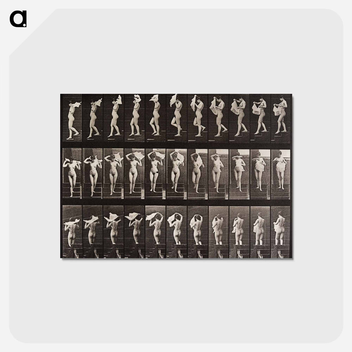アートポストカード-Woman Locomotion Plate 133
 - エドワード マイブリッジ Postcard.