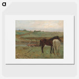 Horse in a Meadow - Edgar Degas Poster.