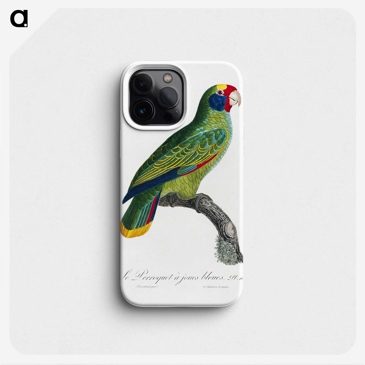 1-45_Francois-Levaillant_phone