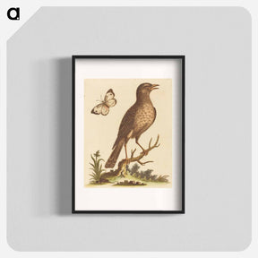 アートポスター-Brown Bird with a Butterfly
 - ジョージ エドワーズ Poster.