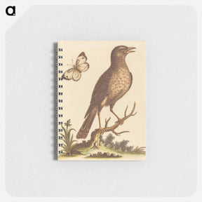 アートメモ帳-Brown Bird with a Butterfly
 - ジョージ エドワーズ Memo.