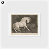 アートポストカード-A Horse Affrighted by a Lion
 - ジョージ スタッブス Postcard.