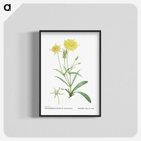 1-45_Histoire-des-Plantes-Grasses_blk-crop
