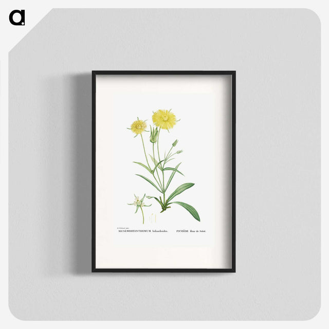1-45_Histoire-des-Plantes-Grasses_blk