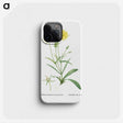 1-45_Histoire-des-Plantes-Grasses_phone