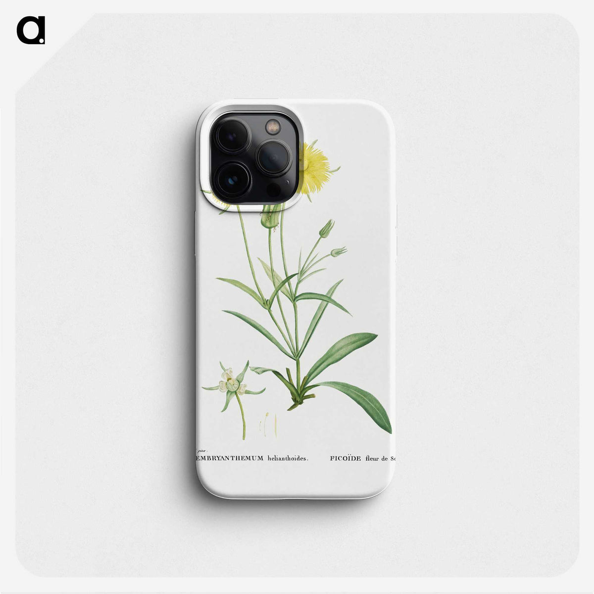 1-45_Histoire-des-Plantes-Grasses_phone