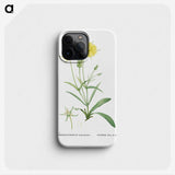 1-45_Histoire-des-Plantes-Grasses_phone