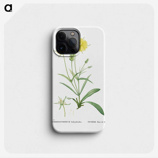 1-45_Histoire-des-Plantes-Grasses_phone