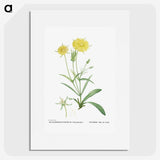 1-45_Histoire-des-Plantes-Grasses_picture