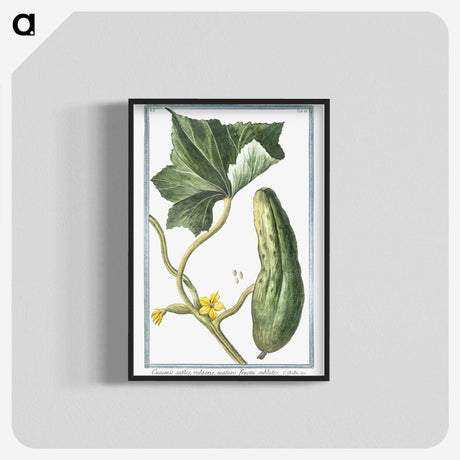 1-45_Hortus-Romanus-Botanical-Plates_blk-crop