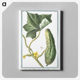 1-45_Hortus-Romanus-Botanical-Plates_canvas