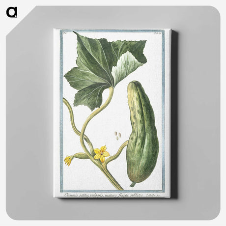 1-45_Hortus-Romanus-Botanical-Plates_canvas