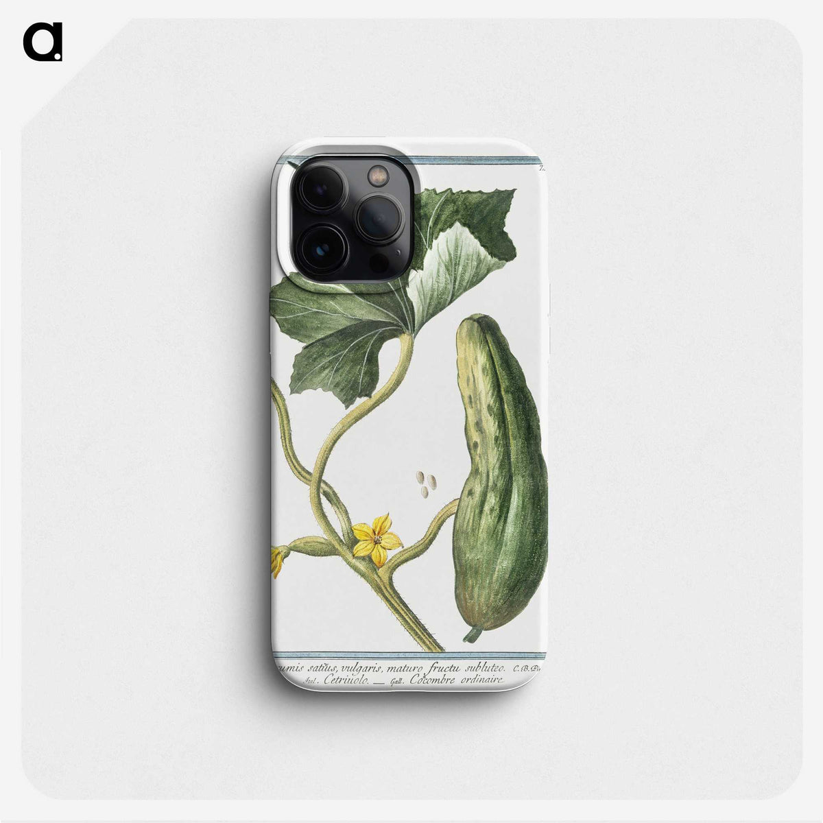 1-45_Hortus-Romanus-Botanical-Plates_phone
