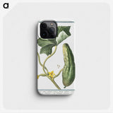 1-45_Hortus-Romanus-Botanical-Plates_phone