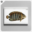 1-45_Ichtyologie-ou-Histoire-naturelle_canvas