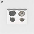 1-45_Indian-Zoology_memo