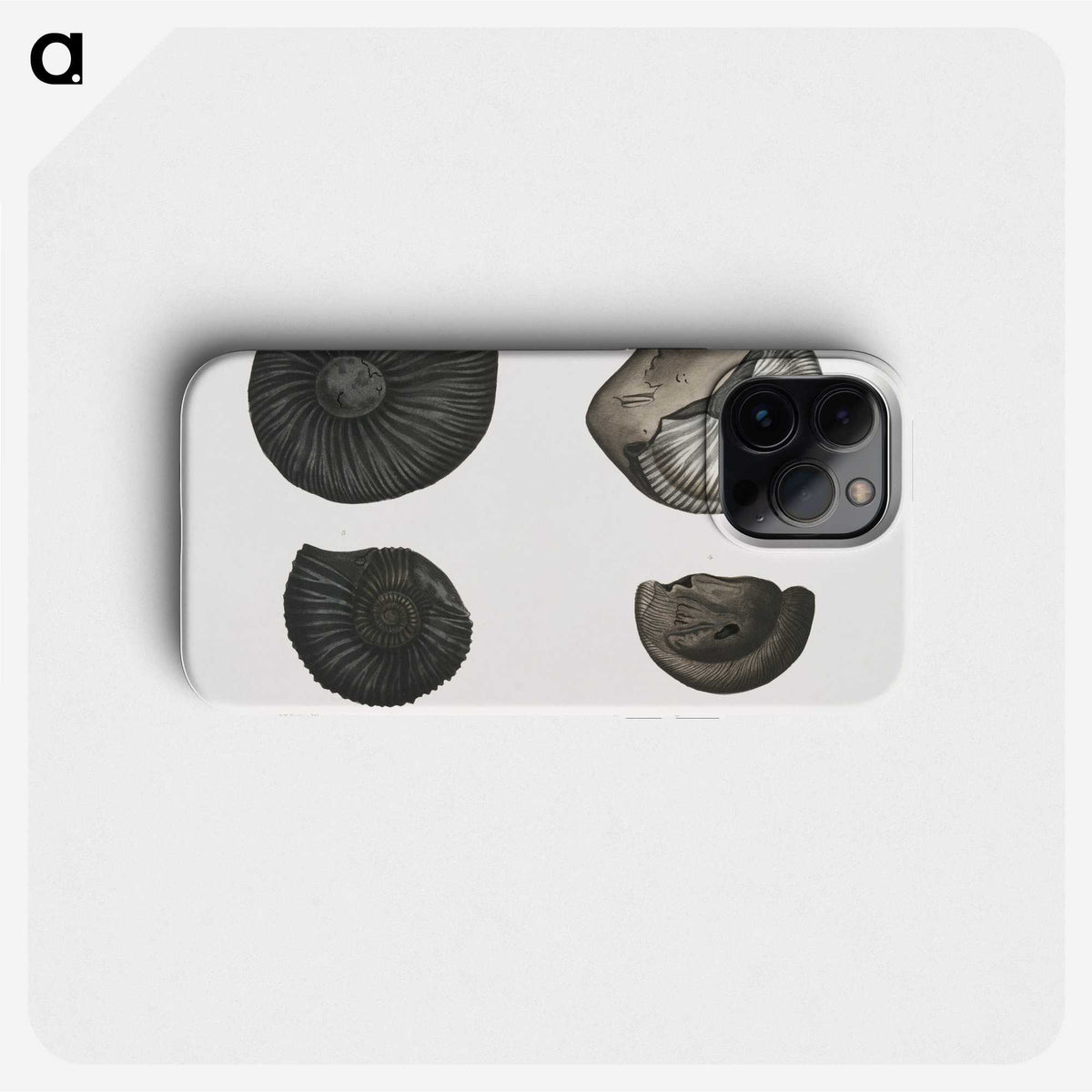 1-45_Indian-Zoology_phone