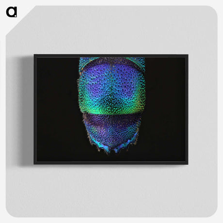 1-45_Insects-Unlocked-Project_blk-crop
