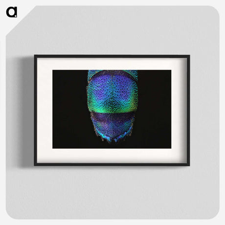 1-45_Insects-Unlocked-Project_blk