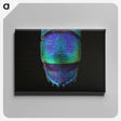 1-45_Insects-Unlocked-Project_canvas
