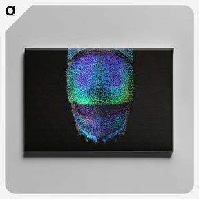 1-45_Insects-Unlocked-Project_canvas