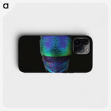 1-45_Insects-Unlocked-Project_phone