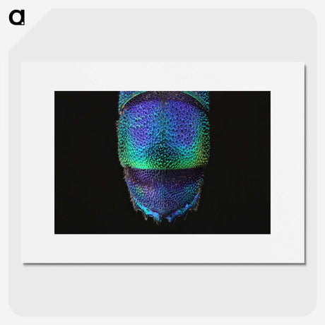 1-45_Insects-Unlocked-Project_picture