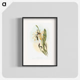 1-45_John-Gould_blk