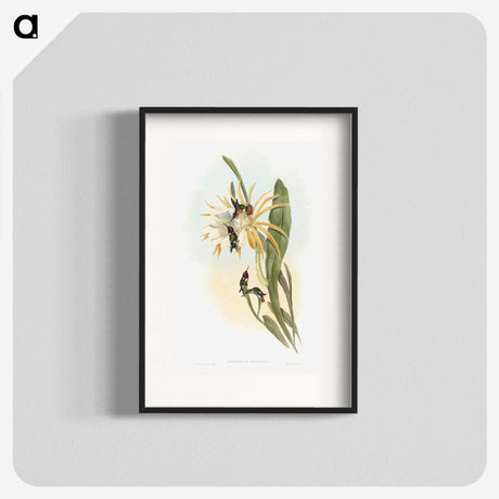 1-45_John-Gould_blk