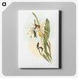 1-45_John-Gould_canvas