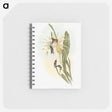 1-45_John-Gould_memo