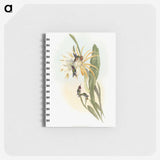 1-45_John-Gould_memo