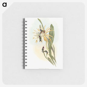 1-45_John-Gould_memo