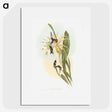 1-45_John-Gould_picture