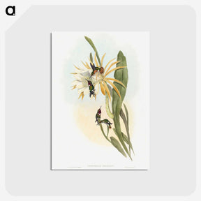 1-45_John-Gould_postcard