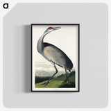 1-45_John-James-Audubon_blk-crop